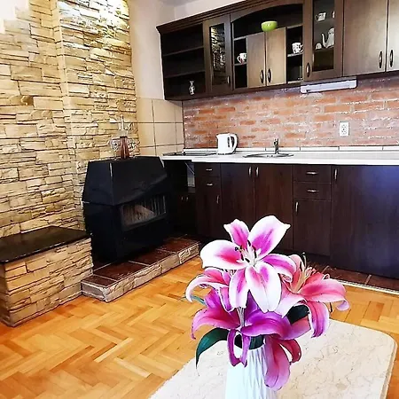 Apartman Tara Malesevic - 1