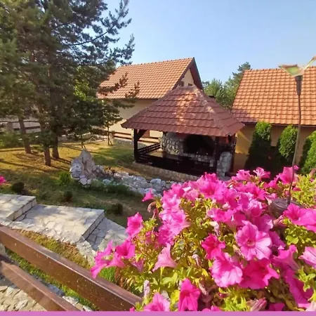 Tara Malesevic - 1 *