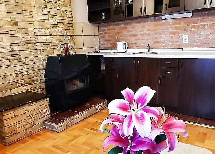 Apartment Tara Malesevic - 1