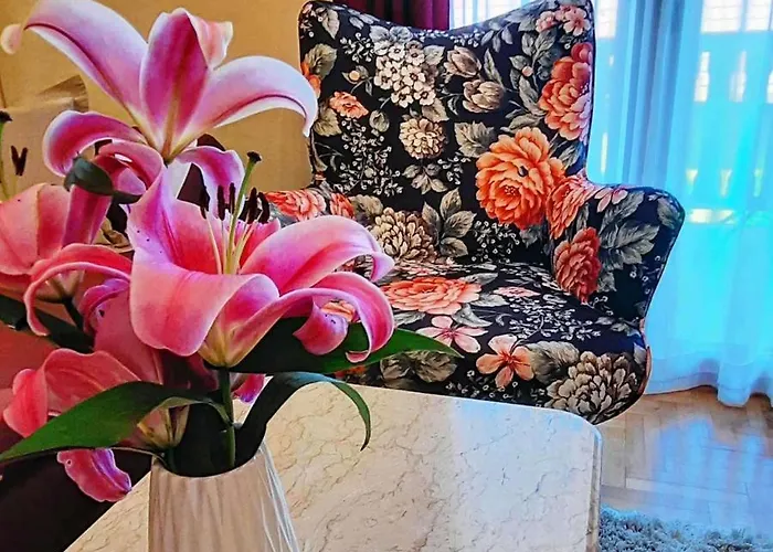 Tara Malesevic - 1 Kaludjerske Bare