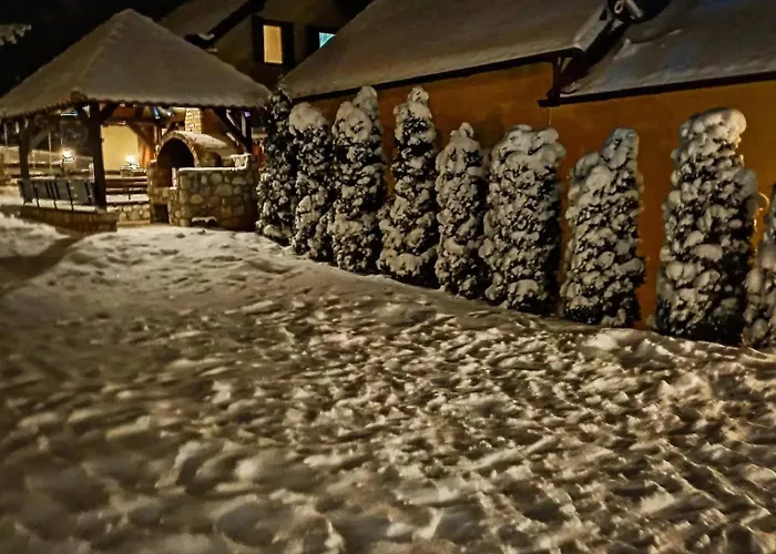 Apartment Tara Malesevic - 1